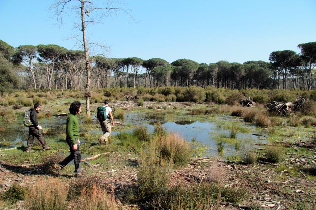 VOLONTANFIBI 2014: Parco Regionale MSRM